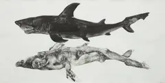 Scavenger by Diane Victor, 2004, Etching, aquatint and embossing, on wove paper, with full margins, offered Oct 2017