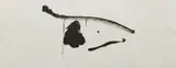 Black Concentrated, from El Negro by Robert Motherwell, 1983, Lithograph, on TGL handmade paper, with full margins, sold Oct 2017