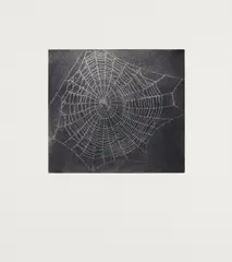 Untitled (Web 1), from MOCA portfolio by Vija Celmins, 2001, Mezzotint in gray, on Hahnemühle Copperplate paper, with wide margins, sold Oct 2017