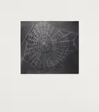 Vija Celmins, Untitled (Web 1), from MOCA portfolio, 2001, Mezzotint in gray, on Hahnemühle Copperplate paper, with wide margins