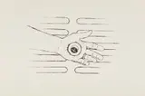Robert Gober, Untitled (Hand Drain)
