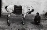 Josef Koudelka, Romania