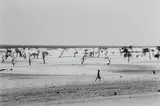 Site of the now dried Lake Faguibine, Mali, Africa by Sebastião Salgado, 1985, Gelatin silver print, printed 2007, offered Apr 2017