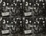 Andy Warhol, Untitled (protected keep off), 1976-1986, Four stitched gelatin silver prints with white thread
