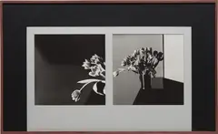 Robert Mapplethorpe, Tulips, 1977, Unique composition of two gelatin silver prints with gray and black silk overmats in artist's original frame