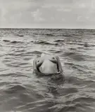 Floating Torso, St. Barthélemy by Herb Ritts, 1987, Gelatin silver print, sold Apr 2017