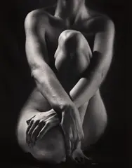 Classic Torso with Hands by Ruth Bernhard, 1952, Selenium toned gelatin silver print, printed later, sold Apr 2017
