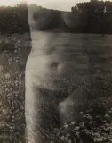 Aix-en-Provence (Nude, Front) by Harry Callahan, 1958, Gelatin silver print, printed no later than 1968, offered Apr 2017