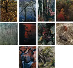Eliot Porter, Intimate Landscapes, 1956-77