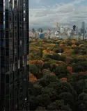 Robert Polidori, View of Central Park and Trump Tower from Time Warner Building, 2003, Fujicolor Crystal Archive print