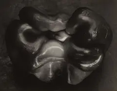 Pepper by Edward Weston, 1930, Gelatin silver print, sold Apr 2017