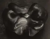 Edward Weston, Pepper