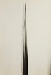 Imogen Cunningham, Flax, circa 1926, Gelatin silver print