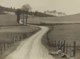 Albert Renger-Patzsch, Untitled (country road)