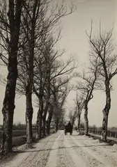 November Days by Alfred Stieglitz, 1887, Gelatin silver print, printed 1920s or 1930s, flush-mounted and mounted again, sold Apr 2017