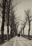 Alfred Stieglitz, November Days