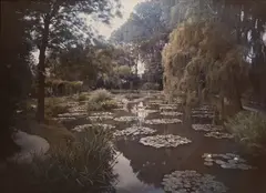 Étienne Clémentel, Étang des Nymphéas à Giverny, 1920, Autochrome
