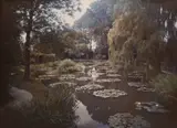 Étienne Clémentel, Étang des Nymphéas à Giverny, 1920, Autochrome