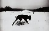 Josef Koudelka, France, 1987, Gelatin silver print