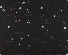 Fred Tomaselli, Portrait of Gregory from Chemical Celestial Portraits, 1995, Gelatin silver print with graphite
