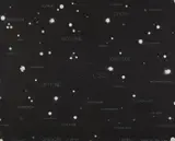 Fred Tomaselli, Portrait of Gregory from Chemical Celestial Portraits, 1995, Gelatin silver print with graphite