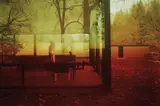Untitled #0696 (Glass House) by James Welling, 2006, Archival pigment print, mounted, sold Apr 2017
