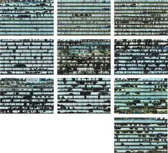 Robbert Flick, Along Cabrillo Boulevard, Santa Barbara: Photofutures, Santa Barbara Museum of Art, 2004. Ten archival pigment prints