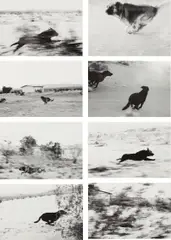 John Divola, Selected Images from Dogs Chasing My Car in the Desert, 1996-2000, Eight archival pigment prints, printed 2004