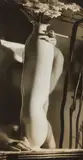 André Kertész, Distortion with Vase