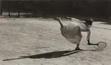 Jacques Henri Lartigue, Suzanne Lenglen, 1915, Gelatin silver print