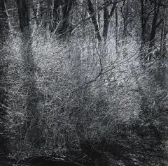 Ralph Steiner, Untitled, 1960, Gelatin silver print