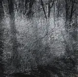 Ralph Steiner, Untitled, 1960, Gelatin silver print