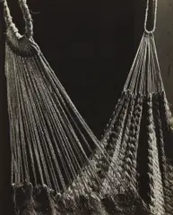 Hammock by Tina Modotti, circa 1926, Gelatin silver print, sold Oct 2017