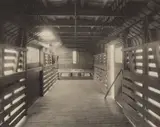 William H. Rau, Interior of a Railroad Car on the Pennsylvania Line, circa 1880, Platinum print