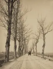 November Days by Alfred Stieglitz, 1887, Platinum print, printed 1895, sold Oct 2017