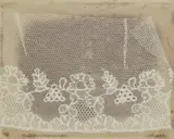 William Henry Fox Talbot, Lace, before February 1845, Unique photogenic drawing negative