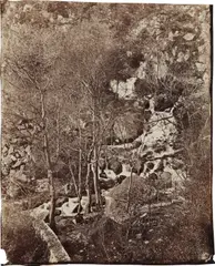 Charles Nègre, Versant de la colline avec cascade et personnage (Slope of the hill with waterfall and figure), circa 1865, Albumen print
