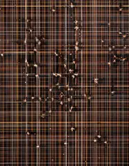 Untitled (C-358) by Marco Breuer, 2004, Unique chromogenic print, hand-scratched by the artist, sold Oct 2017