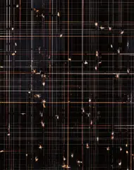 Untitled (C-495) by Marco Breuer, 2004, Unique chromogenic print, hand-scratched by the artist, sold Oct 2017