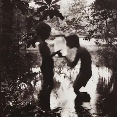 Fireflies by Keith Carter, 1992, Gelatin silver print, sold Oct 2017