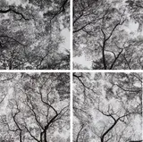 Harry Callahan, Ansley Park, Atlanta