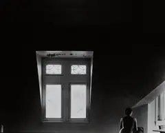 Eleanor, Chicago by Harry Callahan, 1948, Gelatin silver print, printed later, sold Oct 2017