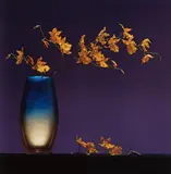 Robert Mapplethorpe, Flowers in Vase, 1985, Dye transfer print
