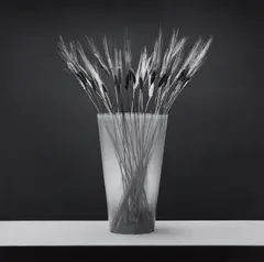 Wheat by Robert Mapplethorpe, 1985, Gelatin silver print, sold Oct 2017