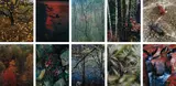 Eliot Porter, Intimate Landscapes, 1956-77, photograph