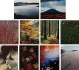 Eliot Porter, In Wildness, New York: Daniel Wolf Press, 1981. Ten dye transfer prints