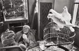 Henri Cartier-Bresson, Henri Matisse, Vence, France