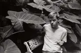 Truman Capote, New Orleans by Henri Cartier-Bresson, 1947, Gelatin silver print, printed later, sold Dec 2017
