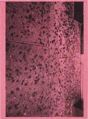 Untitled by Adam McEwen, 2014, inkjet printed sponge, mounted on aluminum panel, sold Feb 2016