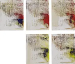 Untitled (34-38) by Israel Lund, 2013, acrylic on raw canvas, in 5 parts, sold Feb 2016